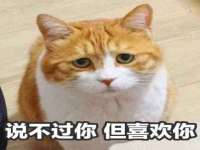 安徽省杰之盛信息科技有限公司
