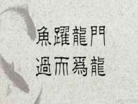 安徽省杰之盛信息科技有限公司