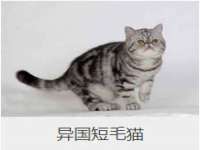 安徽省杰之盛信息科技有限公司