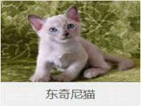安徽省杰之盛信息科技有限公司