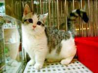 安徽省杰之盛信息科技有限公司