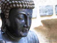 安徽省杰之盛信息科技有限公司