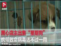 安徽省杰之盛信息科技有限公司