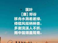 安徽省杰之盛信息科技有限公司