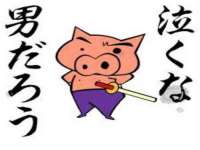 安徽省杰之盛信息科技有限公司
