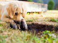 安徽省杰之盛信息科技有限公司