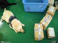 安徽省杰之盛信息科技有限公司