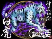 安徽省杰之盛信息科技有限公司