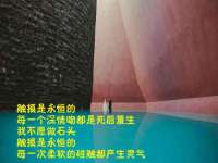 安徽省杰之盛信息科技有限公司